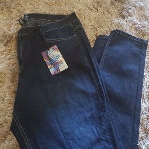 Plus Sized Skinny Jeans